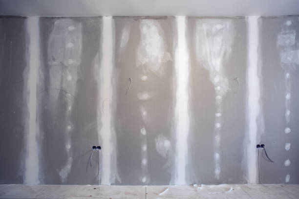 Best Ceiling Drywall Installation  in Sebewaing, MI